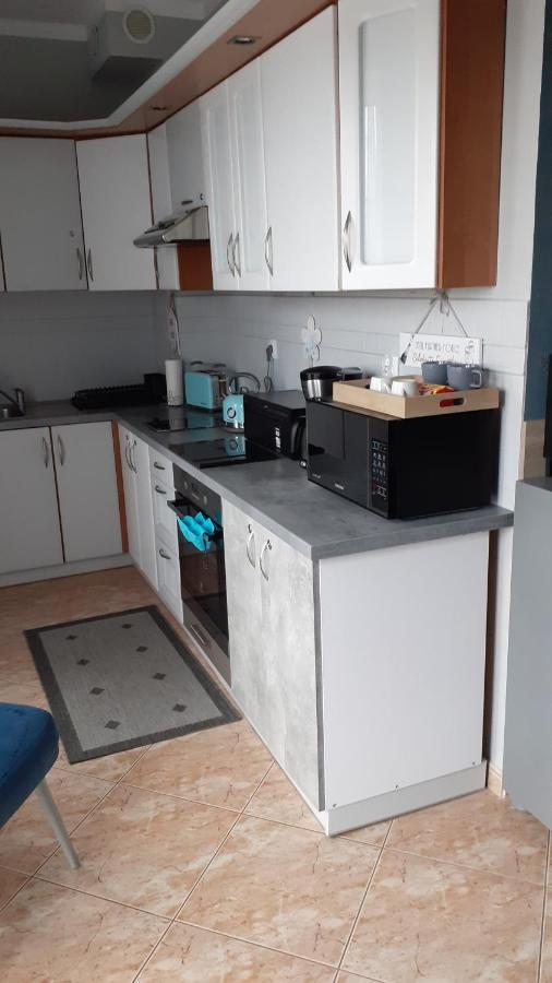 Apartament Na Nowej Starowce コウォブジェク エクステリア 写真